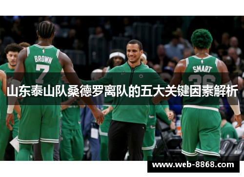 山东泰山队桑德罗离队的五大关键因素解析