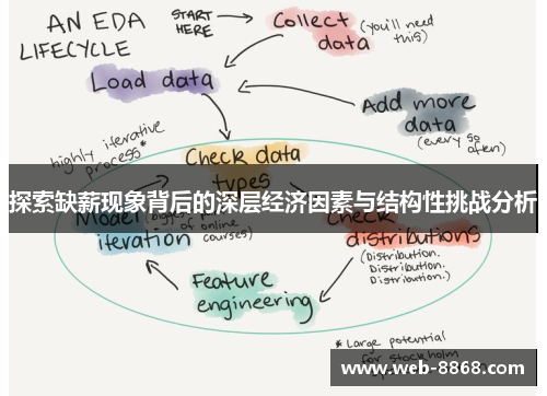 探索缺薪现象背后的深层经济因素与结构性挑战分析
