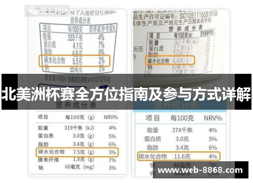 北美洲杯赛全方位指南及参与方式详解